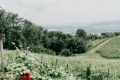 Preporuka za izlet: zelena priča iz srca Slavonije