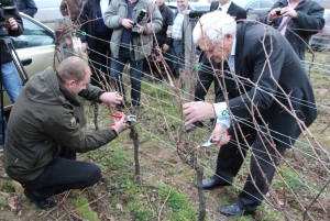 Vincelovo na Venju kod Enjingija