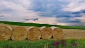 Najviše glasova za fotografiju iz Požeško-slavonske županije!