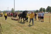 Održane tradicionalne „Zlatne grive Zlatne doline - Mihaljevci 2021.”