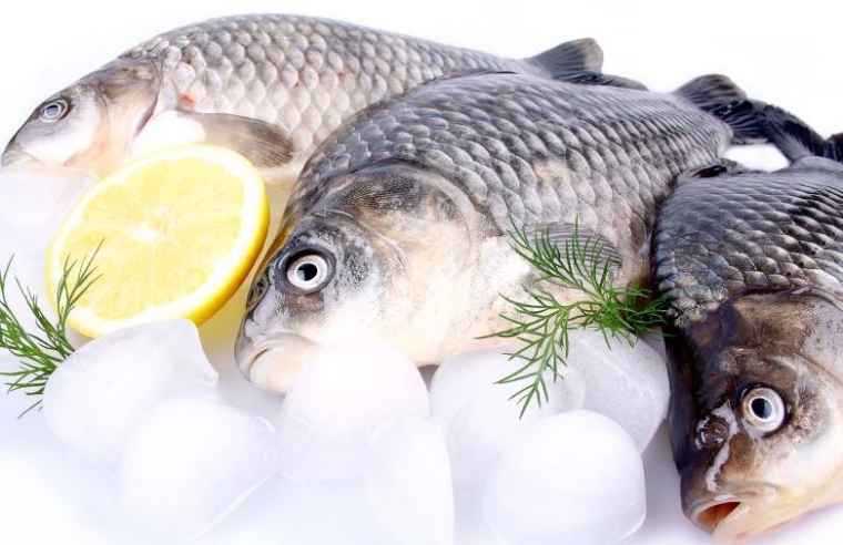 Ministarstvo poljoprivrede predložilo uključenje ribe u školsku prehranu
