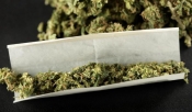 U Velikoj 19-godišnjak dragovoljno predao cannabis marihuanu i zaradio optužni prijedlog
