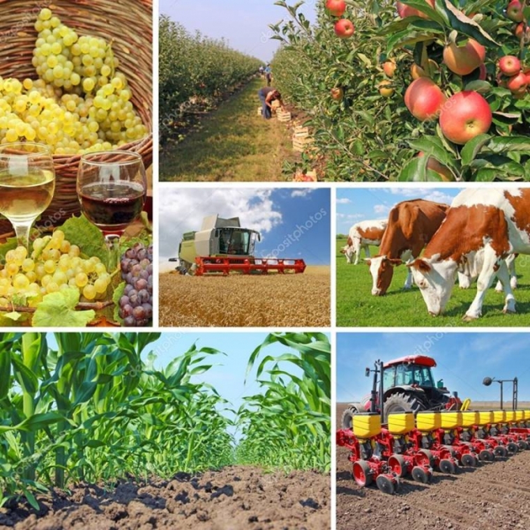 Započelo podnošenje Jedinstvenog zahtjeva poljoprivrednika za 2022. godinu