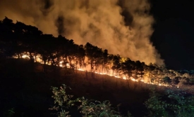 Veći broj požara i veće opožarene površine u odnosu na isto razdoblje prošle godine