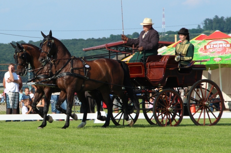 U vožnji dvoprega najbolji Robert i Erika iz Mađarske
