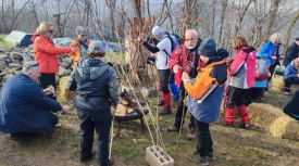 "Vincelovo na Požeškoj gori" – stara slavonska tradicija u punom sjaju uz brojne planinare i akademsku zajednicu