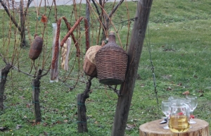 TZ grada Požege najavila proslavu "Vincelovo na Požeškoj gori" u vinogradima