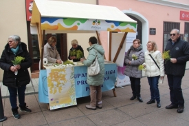 Obilježen 18. „Dan mimoza“ 25. siječnja - Dan borbe protiv raka vrata maternice i Europskog tjedna prevencije raka vrata maternice