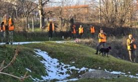 Lovačka društva Sokolovac i Šijak provela nekoliko akcija protjerivanja divljači na području Grada Požege radi sigurnosti ljudi