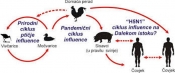 Pojava visoko patogene influence ptica u državama članicama EU