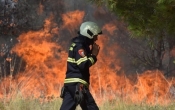 Požar na zapuštenom zemljištu i požar u voćnjaku koji se proširio