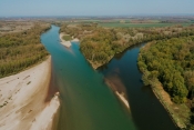 WWF osigurao gotovo pet milijuna eura za revitalizaciju četiri područja u Europskoj Amazoni