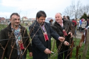 Udruga vinogradara, vinara i voćara općine Kaptol organizirala tradicionalno Vincelovo