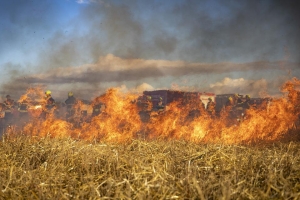 Dva požara otvorenog prostora u Velikoj i Komušini s većim izgorjelim površinama