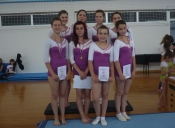 52. Kup Slavonije i Baranje u ženskoj sportskoj gimnastici