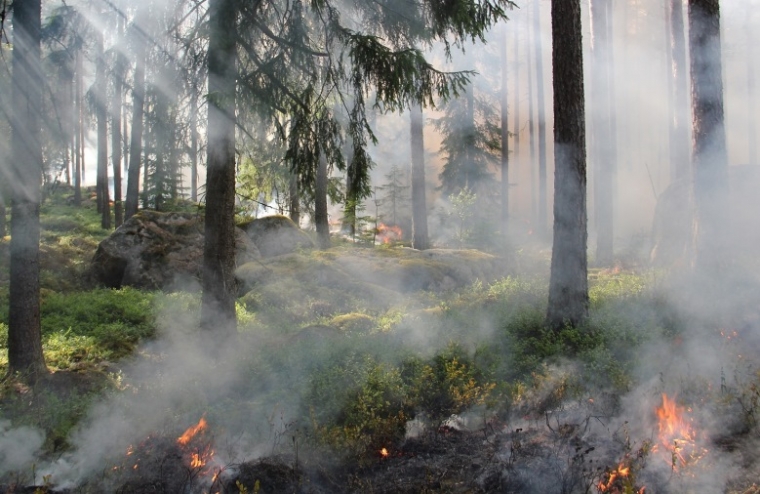 U dva požara izgorjela stabla smreke, suha trava i raslinje