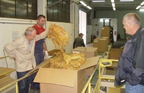 Crno tržište zarađuje 25 milijuna od duhana