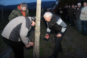 Vincelovo u vinariji vinskog umjetnika Ive Enjingija na Hrnjevcu