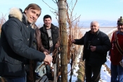 Orezivanje u vinogradu obitelji Markota
