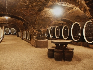Vinarija Kutjevo s Vrhunskom graševinom berbe 2018. izlazi već za božićne i novogodišnje blagdane