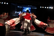 Koreografirani ples i običaji cijele Hrvatske