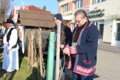 Orezali trsove na jedinstvenom Trgu graševine