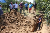 Ogledni primjeri višnjika od 18 ha kraj Trapara