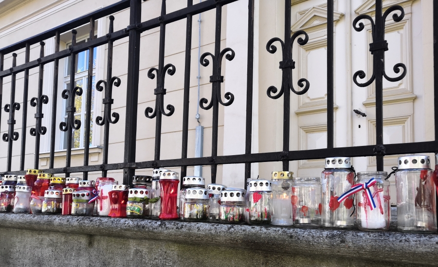 „Srce umjesto lampaša“ uz Dan sjećanja na Vukovar