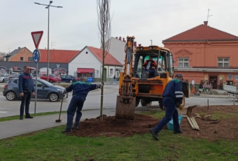Započela sadnja novih stabala u Ulici dr. Franje Tuđmana koja je u cjelovitoj rekonstrukciji