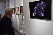 „Razotkrivanje“ koje nam otkriva čudesni svijet evolucije