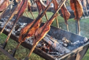 Ribarska večer u Vetovu, hedonizam na slavonski način