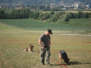 Obučavaju pse za pronalaženje mina