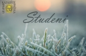 Program za studeni mjesec u Gradskom kazalištu Požega