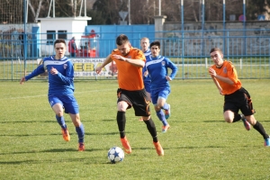Skromna predstava Slavonije