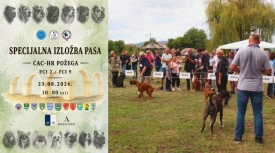Specijalna izložba pasa CAC - HR Požega 2026. sutra na livadi kod Orljave