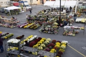 Gradovi, općine, hoćete li pomoći vašim cvjećarnama ili ne? Na vama je!
