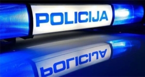 Jedan bijeg s prometne u Požegi i otuđenje stabala u šumi kod Duboke u vlasništvu "Hrvatskih šuma"