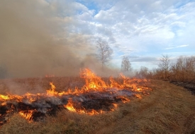 Spriječimo požare otvorenog prostora