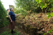 U dvorišta dolaze zmije, štakori i gušteri