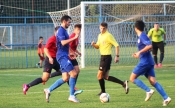 Puno propuštenih prilika Slavonije