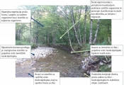 Očuvanjem bioraznolikosti čuvamo tlo od erozije i poplava