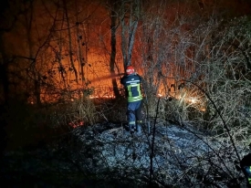 41-godišnjak u šumskom dijeli nije u potpunosti ugasio vatru koja se proširila u požar i izgorjela tri trupca