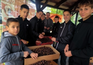 3. godinu  u požeškoj OŠ Julija Kempfa organiziraju "Kestenijadu u Kempfu"