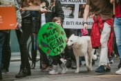 Dječja pjesma o veganstvu nikoga ne ostavlja ravnodušnim
