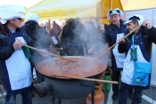 Okuse požeškog Vincelova i zeleno-plavo probalo tisuće Požežana