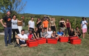 U berbi Cabernet franca kod Sontacchija za poznati &quot;Kitokret&quot; sudjelovali volonteri iz 9 država svijeta