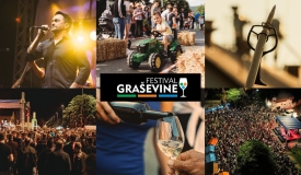 Festival graševine sutra u Kutjevu: Dani otvorenih podruma, program na Trgu graševine i Jole