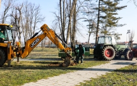 U posljednje 4 godine posađeno preko 1.000 stabala na području Pleternice