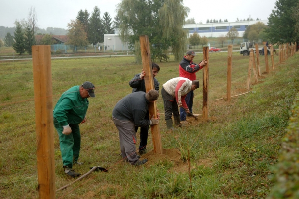 Više prostora za kretanje i ispašu konja