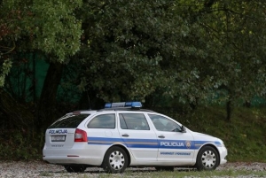Nepoznati počinitelj posjekao i otuđio stabla u vlasništvu Hrvatskih šuma